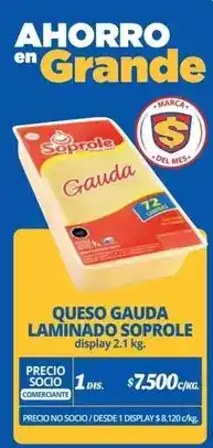 Alvi Soprole - gauda - queso laminado oferta