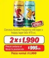 Mayorista 10 Austral - patagonia - cerveza oferta