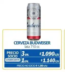 Alvi Cerveza budweiser oferta