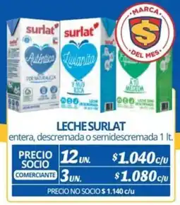 Alvi Leche surlat oferta