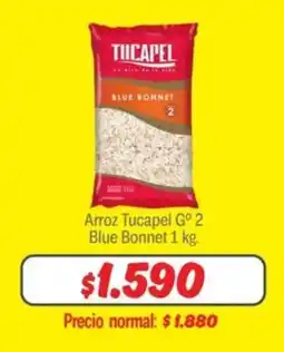 Mayorista 10 Arroz Tucapel oferta