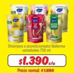 Mayorista 10 Shampoo o acondicionador Ballerina oferta