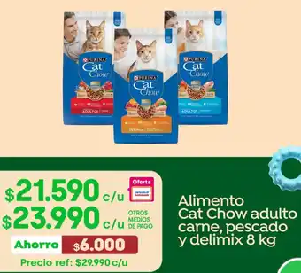 Jumbo Cat chow alimento adulto carne oferta