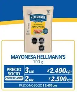 Alvi Mayonesa hellmann's oferta