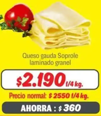 Mayorista 10 Queso gauda soprole laminado granel oferta