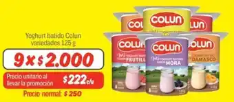 Mayorista 10 Colun yoghurt batido variedades oferta