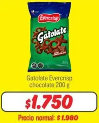 Mayorista 10 Gatolate evercrisp chocolate oferta