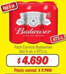 Mayorista 10 Budweiser pack cerveza oferta