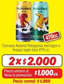 Mayorista 10 Austral patagonia cerveza red lager o hoppy lager oferta