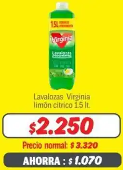 Mayorista 10 Lavalozas Virginia limón citrico oferta