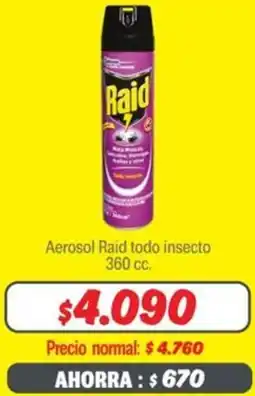 Mayorista 10 Raid aerosol todo insecto oferta