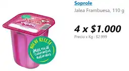 Lider Soprole jalea frambuesa oferta