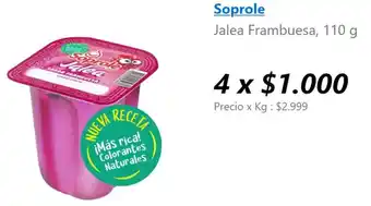 Lider Soprole jalea frambuesa oferta