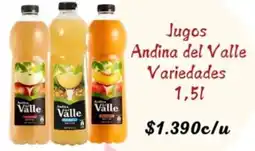 Supermercados Romanini Jugos andina del valle variedades oferta