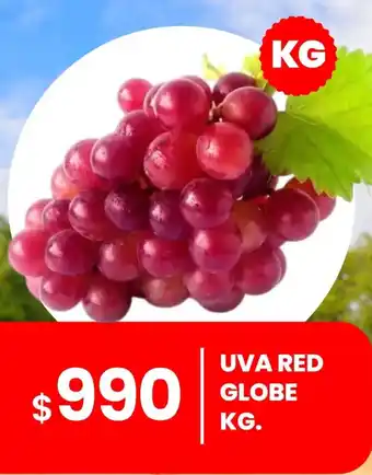 Cugat Uva Red Globe oferta