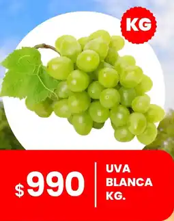 Cugat Uva Blanca oferta