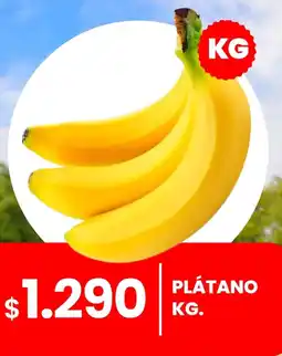 Cugat Plátano oferta