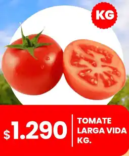 Cugat Tomate Larga Vida oferta