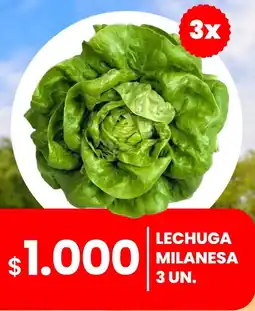 Cugat Lechuga Milanesa oferta