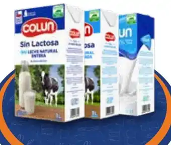 Provimarket Colun sin lactosa leche oferta