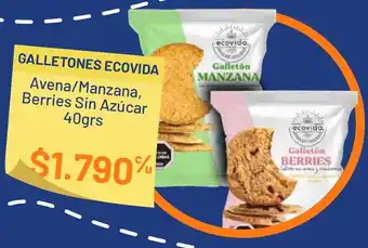 Provimarket Ecovida galletones oferta