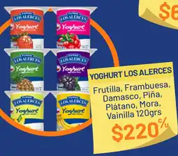 Provimarket Yoghurt los alerces oferta