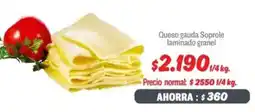 Mayorista 10 Queso gauda soprole laminado granel oferta