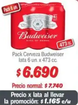 Mayorista 10 Budweiser pack cerveza oferta