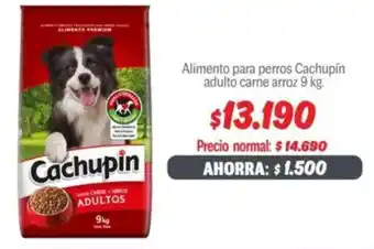 Mayorista 10 Cachupín alimento para perros adulto carne arroz oferta