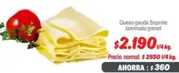 Mayorista 10 Queso gauda soprole laminado granel oferta