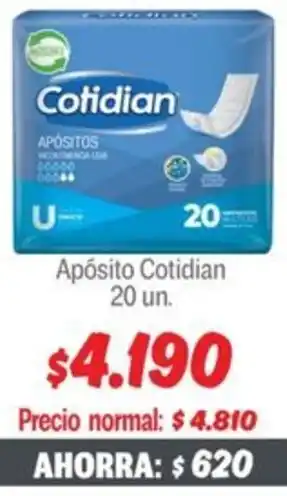 Mayorista 10 Cotidian apósito oferta