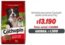 Mayorista 10 Cachupín alimento para perros adulto carne arroz oferta