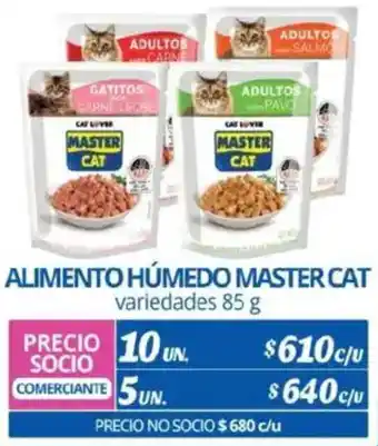 Alvi Master cat alimento húmedo variedades oferta