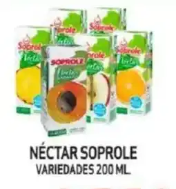Mayorista 10 Nectar soprole variedades oferta