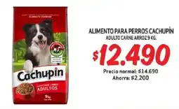 Mayorista 10 Alimento para perros cachupín adulto carne arroz oferta