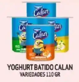 Mayorista 10 Yoghurt batido calan variedades oferta