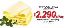 Mayorista 10 Queso gauda soprole laminado granel oferta