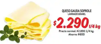 Mayorista 10 Queso gauda soprole laminado granel oferta