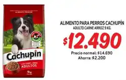 Mayorista 10 Cachupín alimento para perros oferta