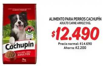 Mayorista 10 Cachupín alimento para perros oferta