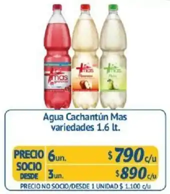 Alvi Agua Cachantún Mas Variedades 1.6lt oferta