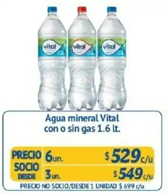 Alvi Agua Mineral Vital con o Sin Gas 1.6lt oferta
