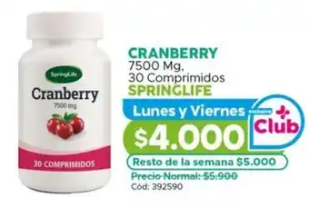 Maicao Cranberry springlife oferta