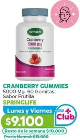 Maicao Cranberry gummies springlife oferta