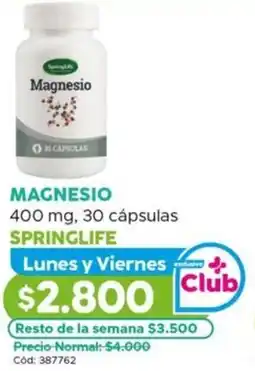 Maicao Magnesio springlife oferta