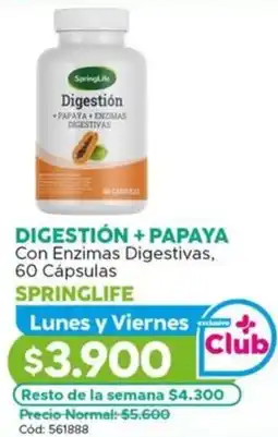 Maicao Springlife digestión + papaya oferta