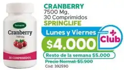 Maicao Springlife cranberry oferta