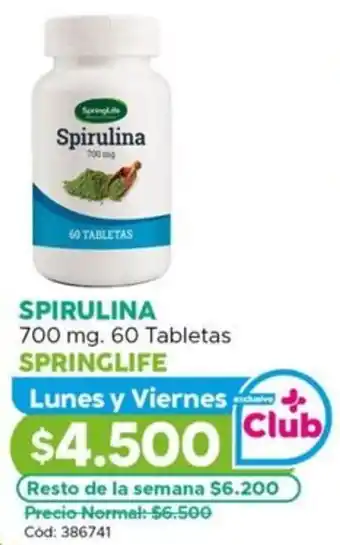 Maicao Springlife spirulina oferta