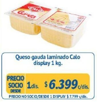 Alvi Queso Gauda Laminado Calo Display 1kg oferta