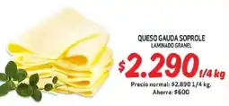 Mayorista 10 Queso gauda soprole laminado granel oferta